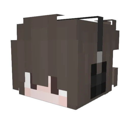 H_Ary23 Minecraft avatar head, 3D render