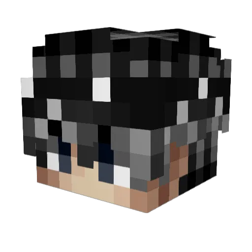 H_E_A_R_T Minecraft avatar head, 3D render