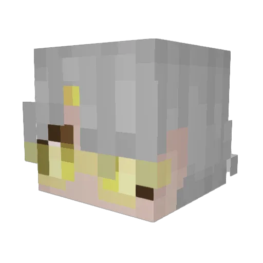 H_H5 Minecraft avatar head, 3D render