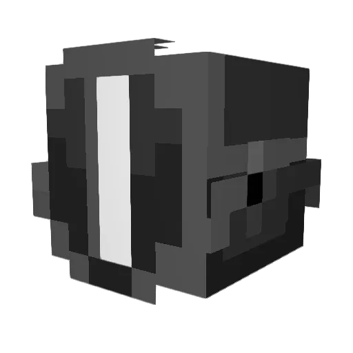 H_Jason Minecraft avatar head, 3D render