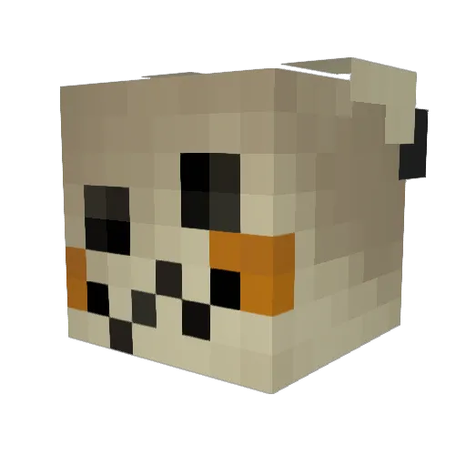 H_Or_Someone Minecraft avatar head, 3D render