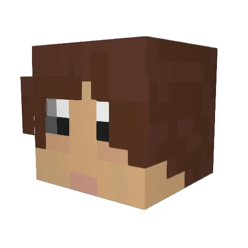 H_Phill11 Minecraft avatar head, 3D render