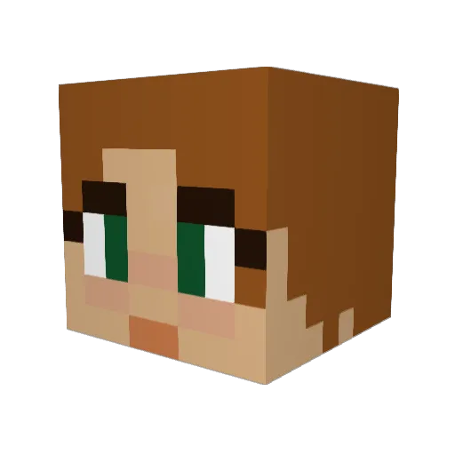 H_Sara Minecraft avatar head, 3D render