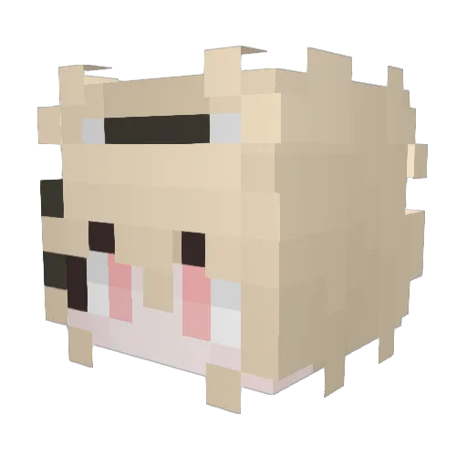 H_Tin_ Minecraft avatar head, 3D render