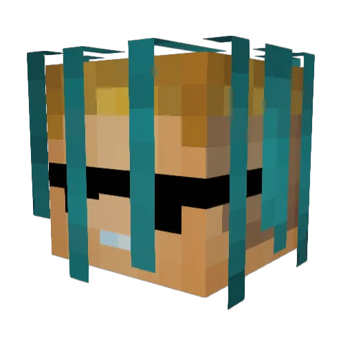 H_a_K_e_R_666 Minecraft avatar head, 3D render