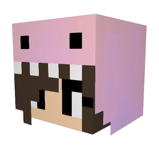 Ha0227 Minecraft avatar head, 3D render