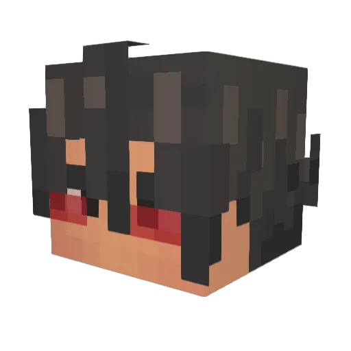 Ha0Lu8 Minecraft avatar head, 3D render