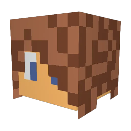 Ha1f_tash Minecraft avatar head, 3D render