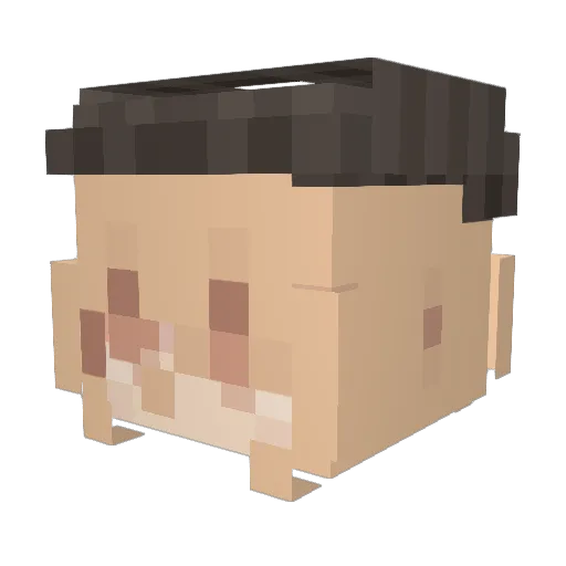 Ha1redZ Minecraft avatar head, 3D render