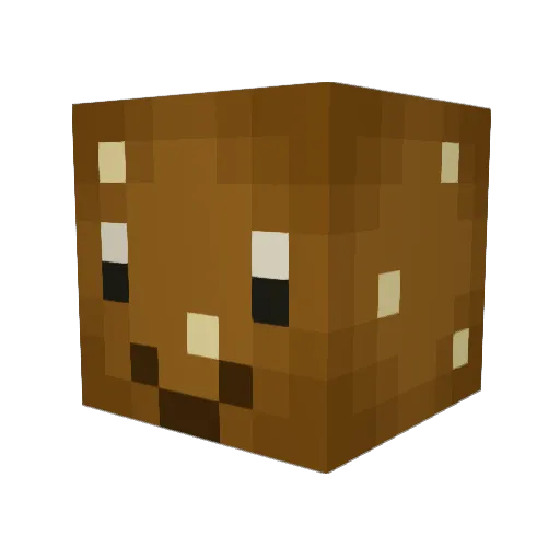 Ha4teX Minecraft avatar head, 3D render