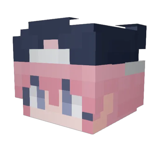 Ha5ung Minecraft avatar head, 3D render