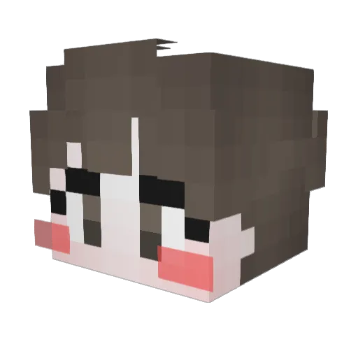 Ha99ie Minecraft avatar head, 3D render