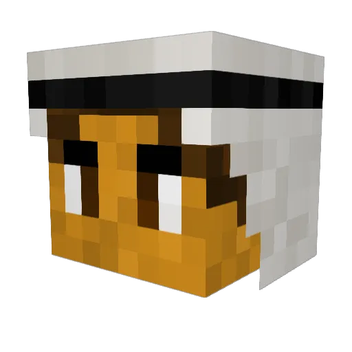 HaAx19 Minecraft avatar head, 3D render