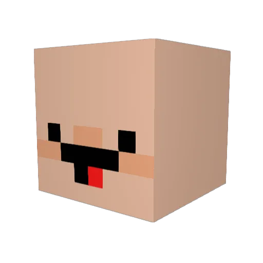 HaCkBoyZz Minecraft avatar head, 3D render