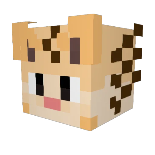 HaJuegosCat Minecraft avatar head, 3D render