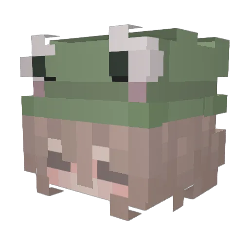 HaLeYb_17 Minecraft avatar head, 3D render