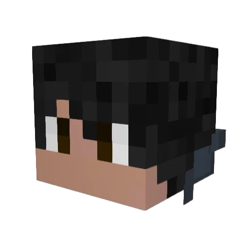 HaRd_ChOicE10 Minecraft avatar head, 3D render