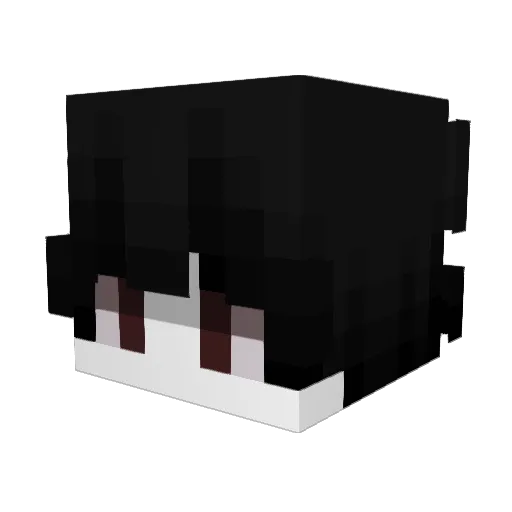 HaSaN120224 Minecraft avatar head, 3D render