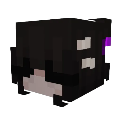 HaVoCNRuCkUs Minecraft avatar head, 3D render