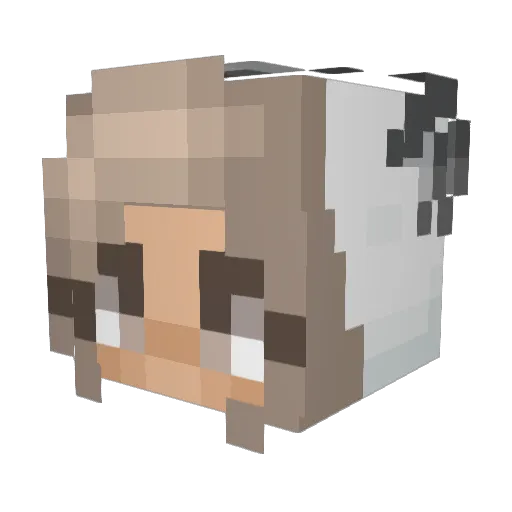 HaZze_ Minecraft avatar head, 3D render