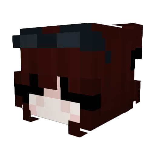 Haakattack Minecraft avatar head, 3D render
