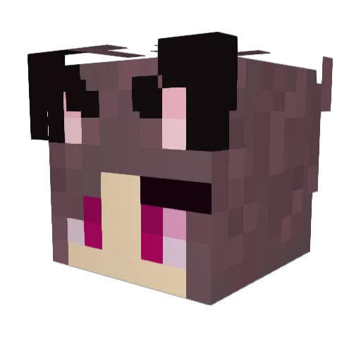 Haanio Minecraft avatar head, 3D render