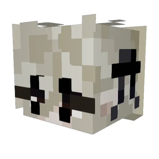 Haankaa13 Minecraft avatar head, 3D render