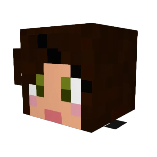 Haarwhen Minecraft avatar head, 3D render
