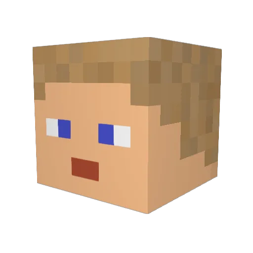 Haas110 Minecraft avatar head, 3D render