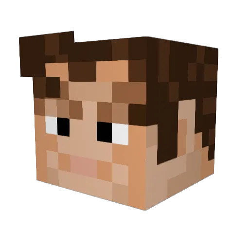 Haas129 Minecraft avatar head, 3D render