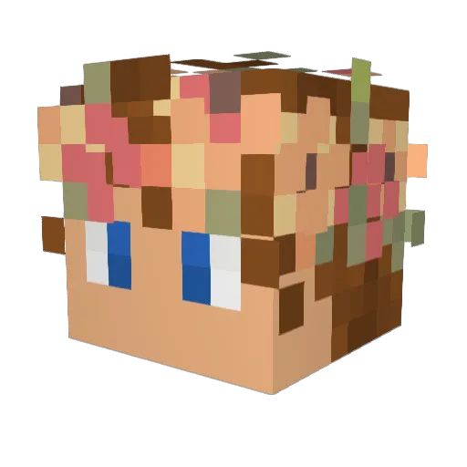 Haaske Minecraft avatar head, 3D render