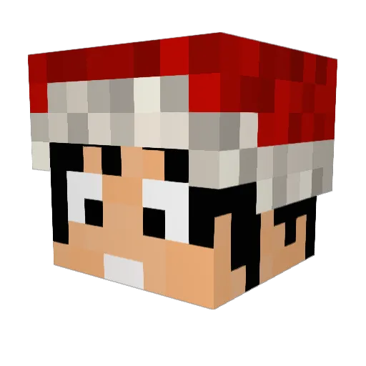 HabKeinKarma Minecraft avatar head, 3D render