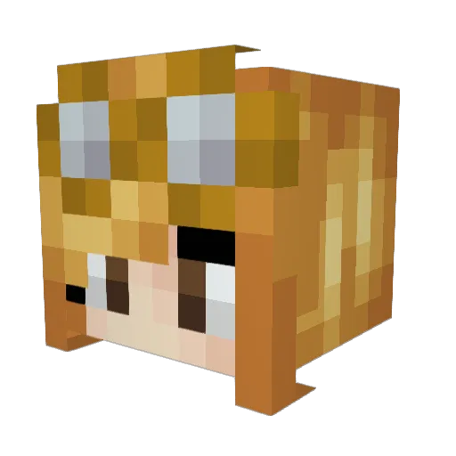 Hababae Minecraft avatar head, 3D render