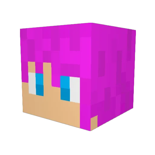 Habanera Minecraft avatar head, 3D render