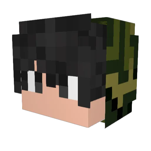 HabibiZane03 Minecraft avatar head, 3D render