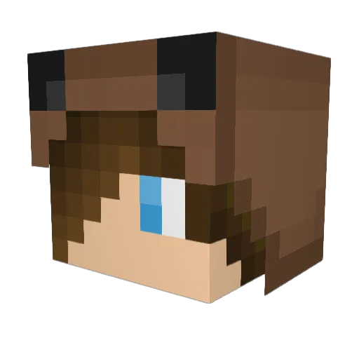 Habit007 Minecraft avatar head, 3D render