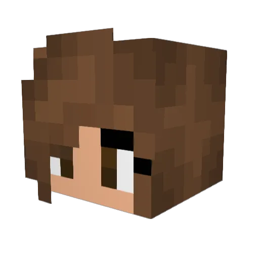 Hablupp Minecraft avatar head, 3D render