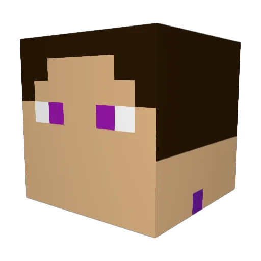 Habo33_ Minecraft avatar head, 3D render