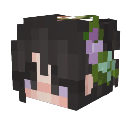 Haboraks Minecraft avatar head, 3D render