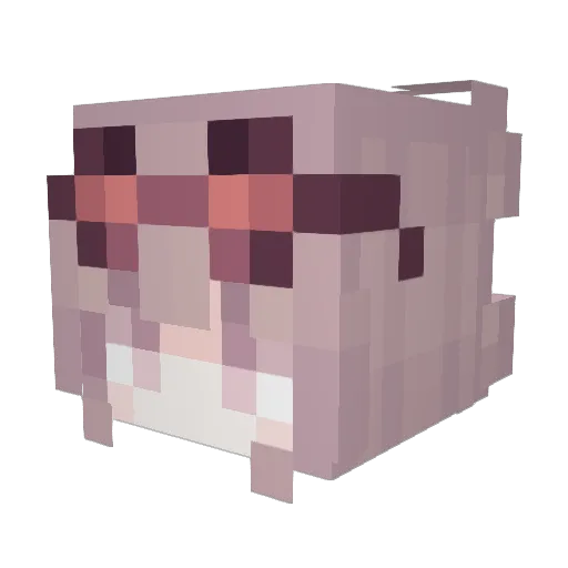 HabsGleich Minecraft avatar head, 3D render