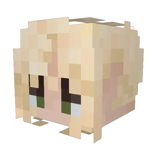 HaceLer Minecraft avatar head, 3D render