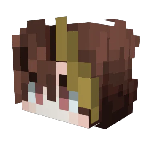 Hacheadd Minecraft avatar head, 3D render