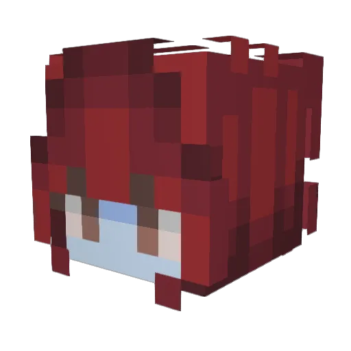 Hachiko5 Minecraft avatar head, 3D render