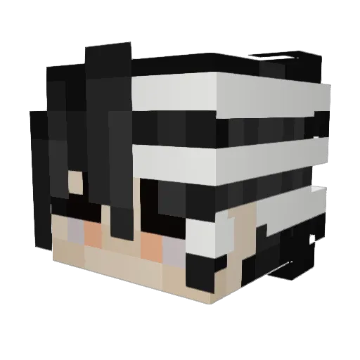 HacieLoveS3XEY Minecraft avatar head, 3D render