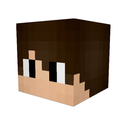 HackNotFound_ Minecraft avatar head, 3D render