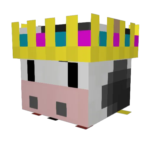 HackYou Minecraft avatar head, 3D render
