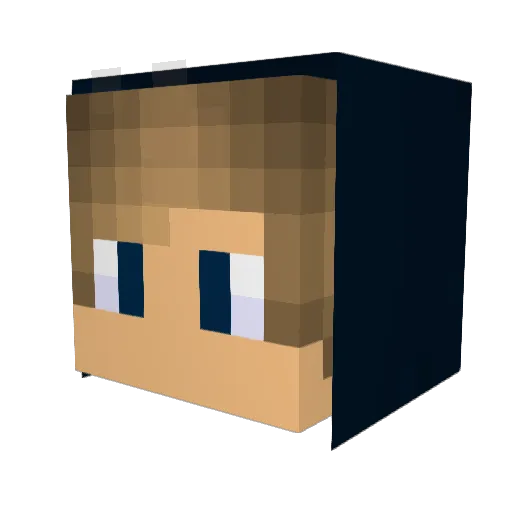 HackedByRez Minecraft avatar head, 3D render