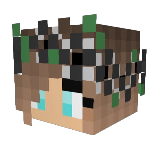 HackedClientLink Minecraft avatar head, 3D render