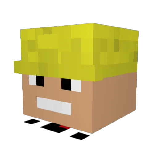 Hackedmainframe Minecraft avatar head, 3D render