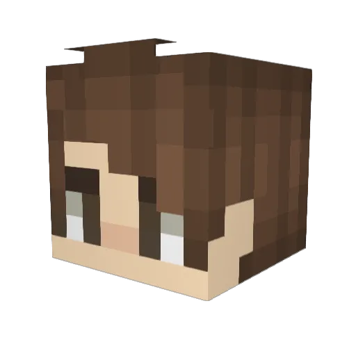 HackerB1 Minecraft avatar head, 3D render